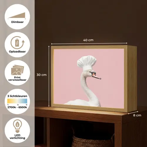 Zwaan - Koksmuts - Mooi - Klassiek Light Box met batterij (Wandlamp) middel -USP_websiteoverzichtNL