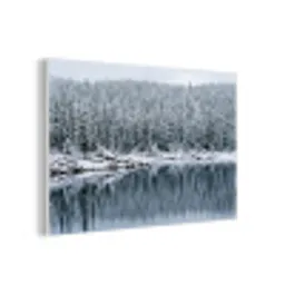 Bos - Reflectie - Meer - Winter - Serene forex 5mm xxl -3d