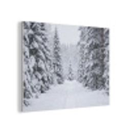 Bos - Winter - Sneeuw - Pad - Natuur PET vilt klein -3d