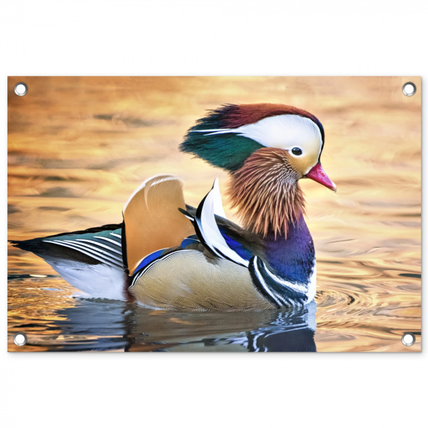 Close-up mandarijneend tuinposter los doek klein -3d