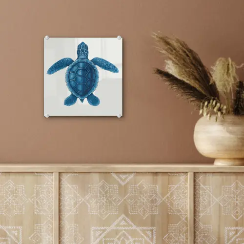 Schildpad - Blauw - Schild plexiglas 5mm klein -sfeer5