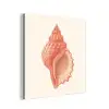 Schelp - Roze - Structuur aluminium wit klein -3d