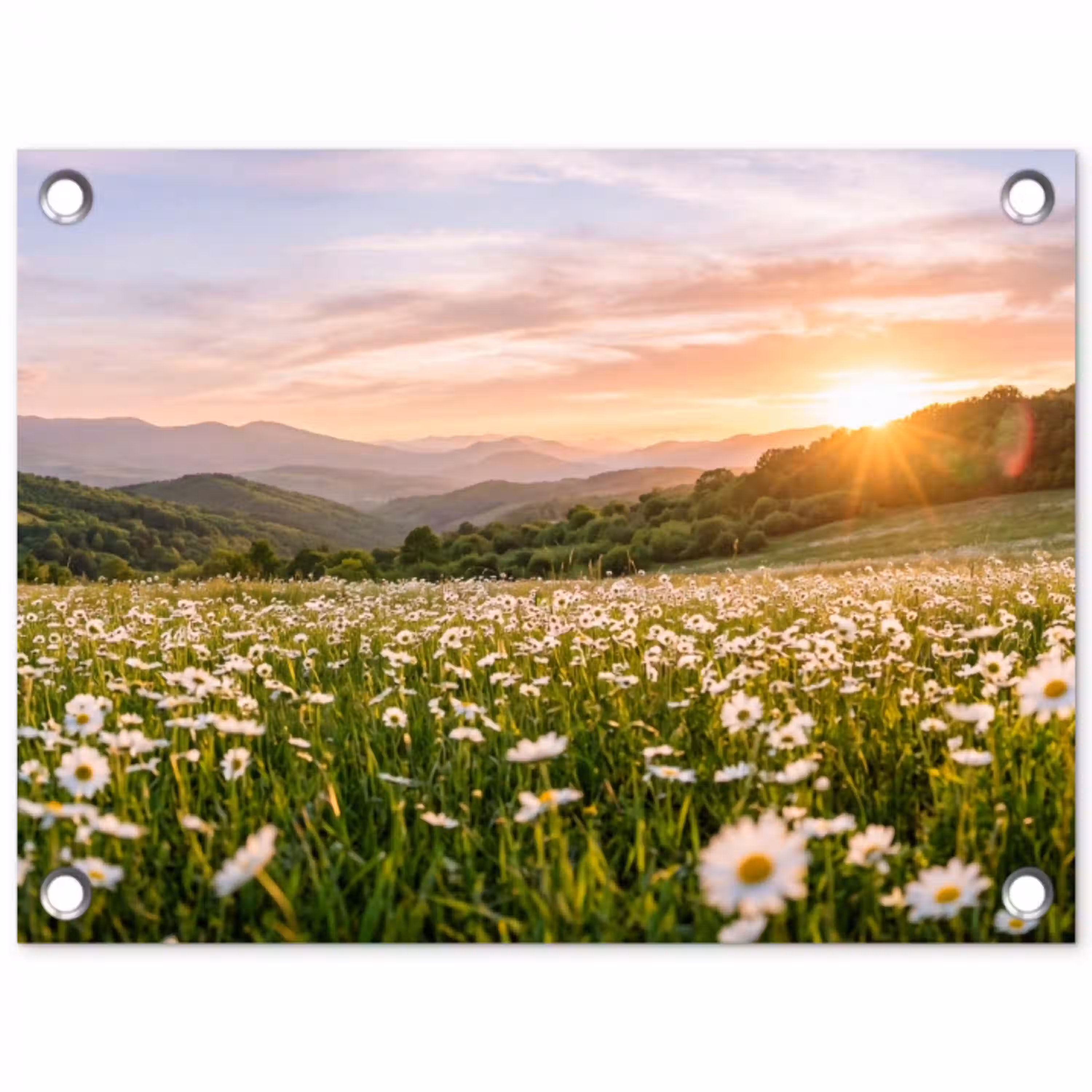 Madelief - Veld - Heuvels - Groen tuinposter los doek klein -3d
