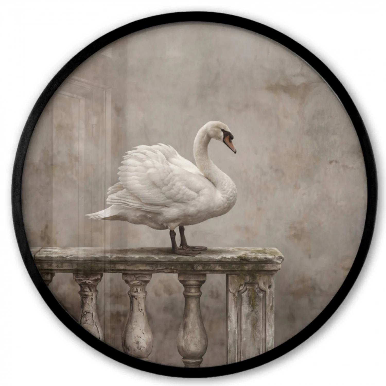 Zwaan - Elegant - Dieren - Wit Fotolijst rond zonder passe partout klein -3d