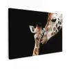 Giraffe - Dieren - Zwart - Portret - Dieren canvas 2cm klein -z3d