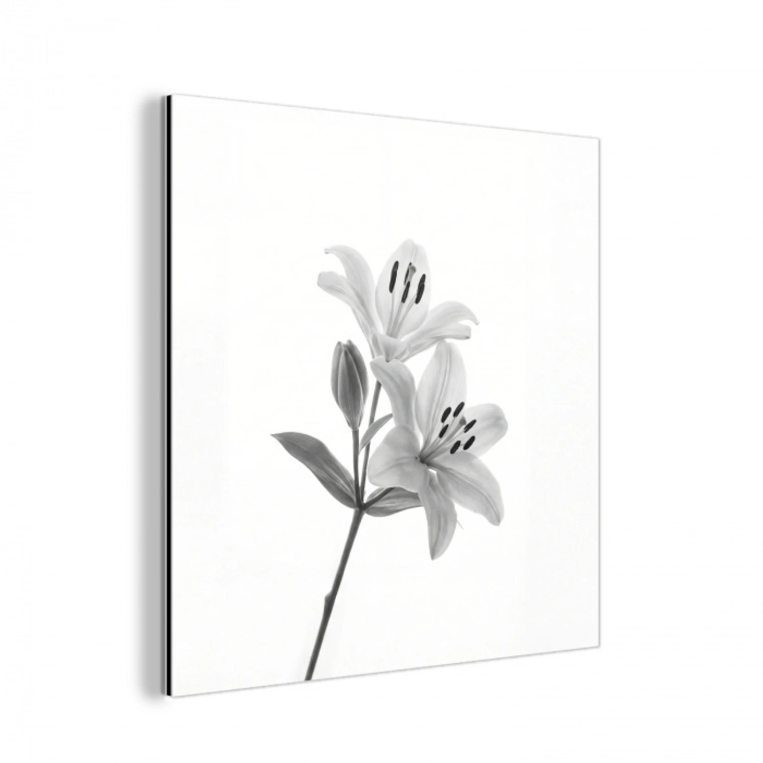 Lelies - Elegant - Zwart - Wit aluminium wit klein -3d