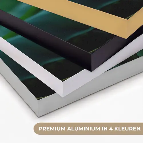 Viooltjes - Paars - Bloem - Bladeren Textielframe zwart klein -USP_kleurenNL