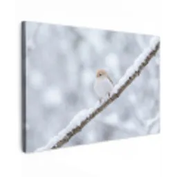 Vogeltje - Sneeuw - Tak - Winter - Zacht canvas 2cm klein -z3d