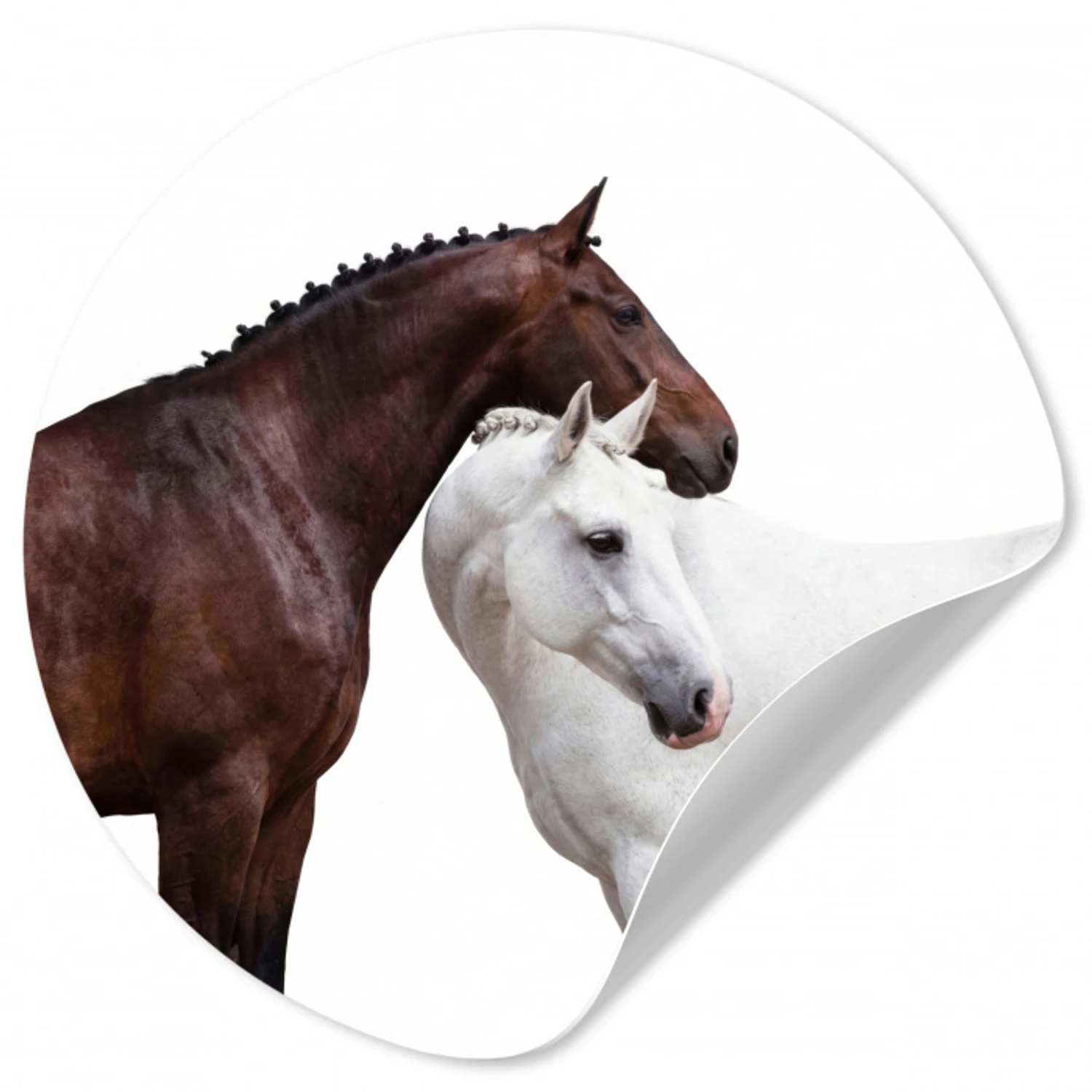 Paard - Modern - Balans Wandcirkel behangsticker klein -3d