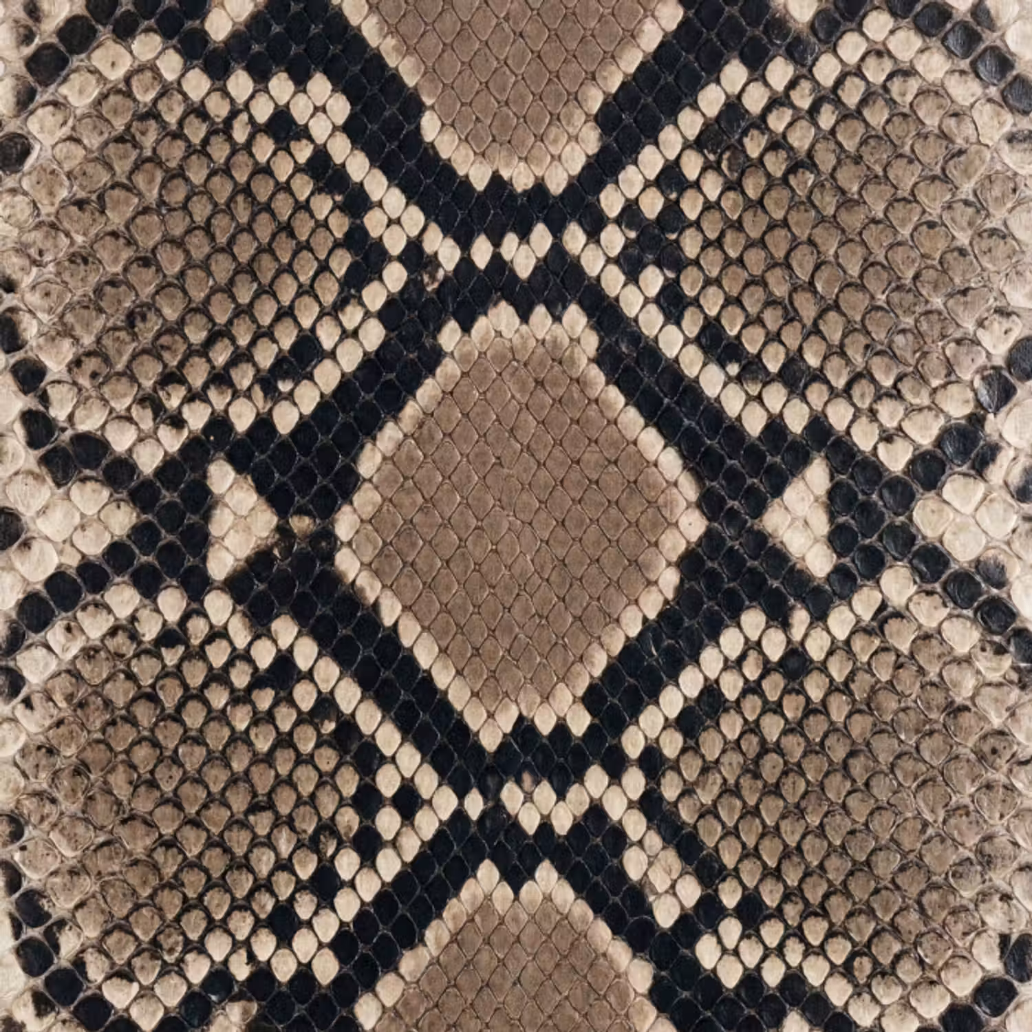 Behang - Slangenprint - Python - Bruin