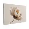 Bloem - Beige - Crème Tuinposter op houten frame 2 cm dik klein -3d