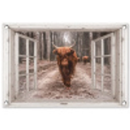 Hooglander door het Raam tuinposter los doek klein -3d