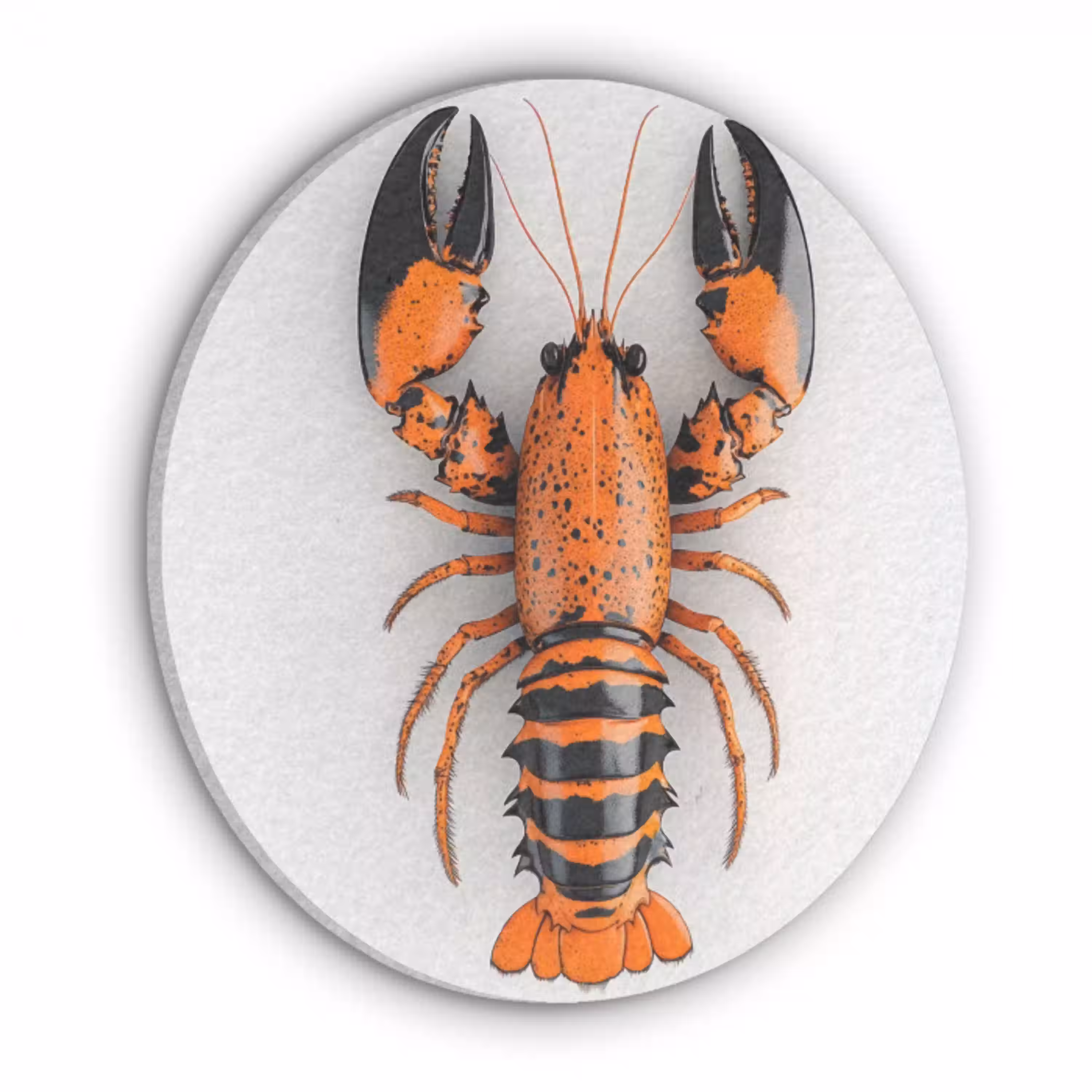 Kreeft - Zwart - Oranje - Wit - Uniek Akoestische PET Vilt - Rond klein -3d