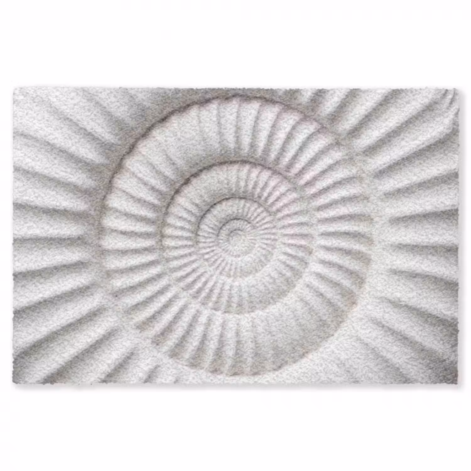 Teppich - Muschel - Spirale - Weiß