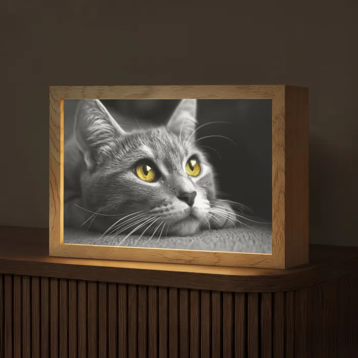 Kat - Zwart - Wit - Dieren - Natuur Light Box met kabel (Tafellamp) klein -z3d_website