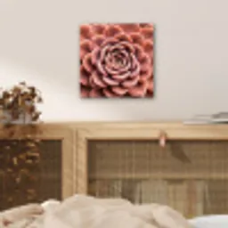 Vetplant - Organisch - Roze aluminium wit klein -sfeer3