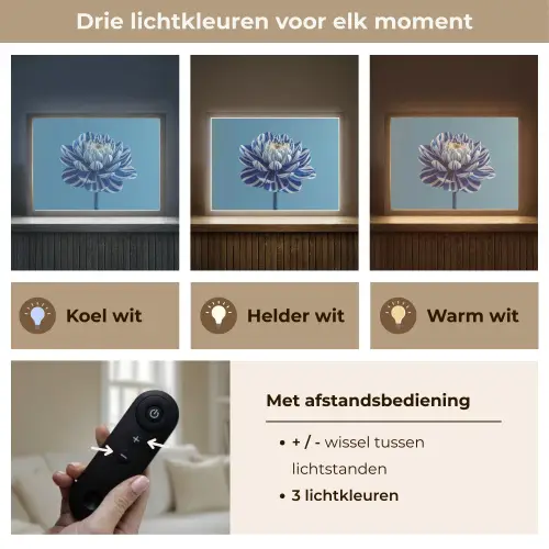 Bloem - Blauw - Bloemblaadjes - Streepjes Light Box met batterij (Wandlamp) middel -USP_lichtkleurNL