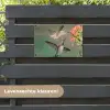 Kolibries bij Bloemen tuinposter los doek klein -sfeer3