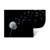 Paardenbloem - Zwart - Natuur Muursticker klein -3d