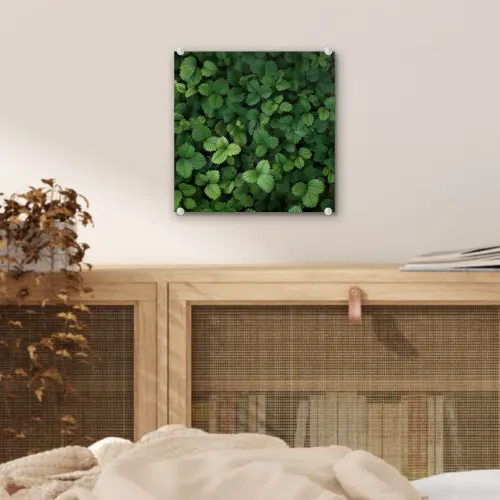 Groen - Bladeren - Kartel - Zonlicht plexiglas 5mm klein -sfeer4