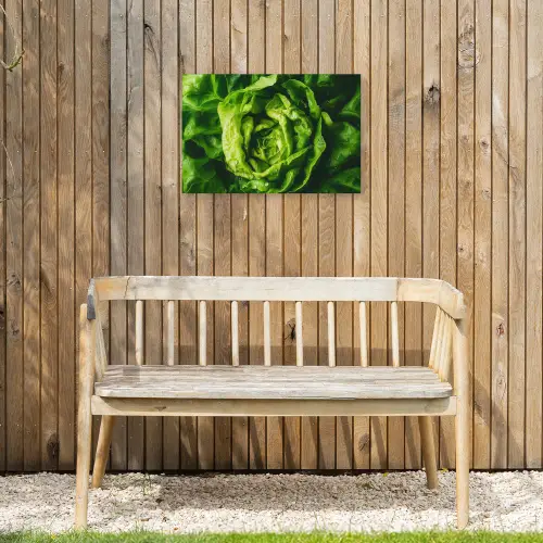Groente - Sla - Groen Tuinposter op houten frame 2 cm dik klein -sfeer4