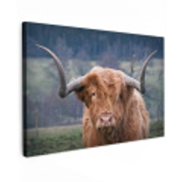 Schotse Hooglander - Koeienkop - Landschap - Natuur - Koe Tuinposter op houten frame 2 cm dik klein -3d