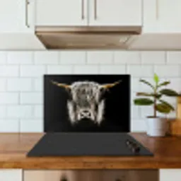 Schotse hooglander - Goud - Hoorns - Zwart wit - Koe - Dieren keuken achterwand spatscherm klein -sfeer2