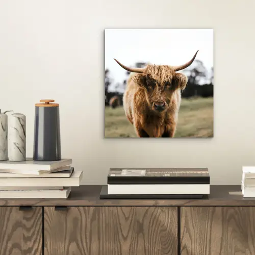 Schotse Hooglander -  Koe - Gras - Dieren - Natuur aluminium wit klein -sfeer1