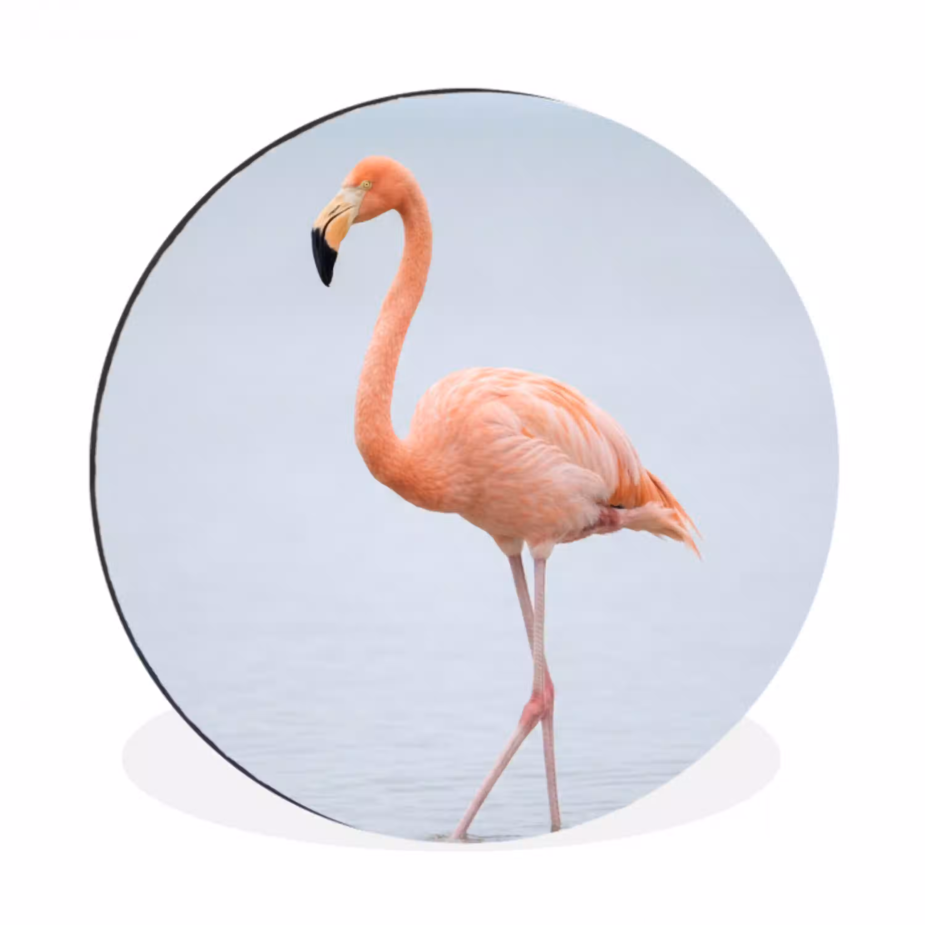 Flamingo - Zee - Roze Wandcirkel aluminium klein -3d
