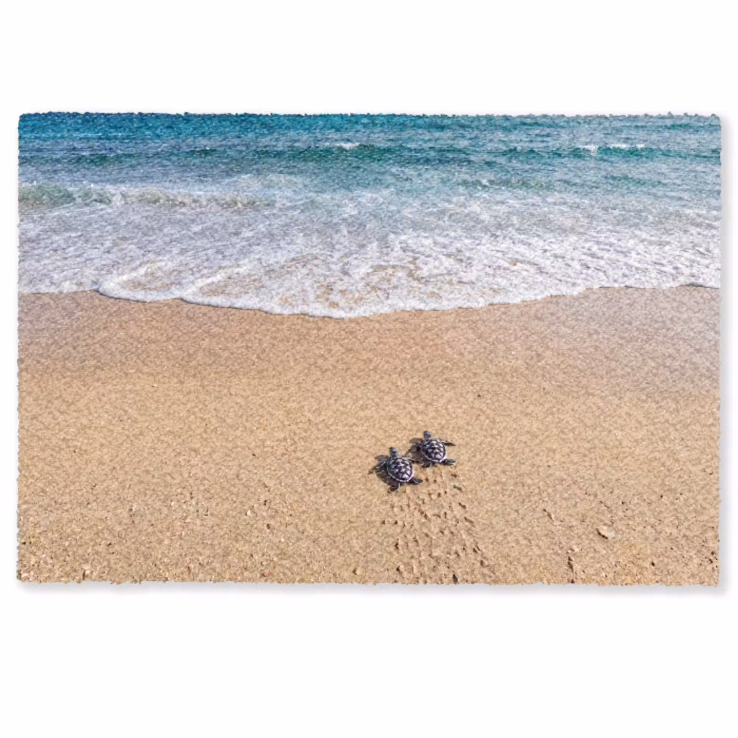 Schildpad - Jong - Strand - Oceaan - Blauw Deurmat klein -zkaufland3d