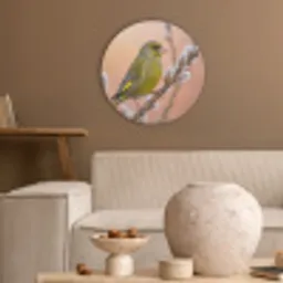 Groenling - Katjes - Lente - Natuur - Zacht Akoestische PET Vilt - Rond klein -sfeer1