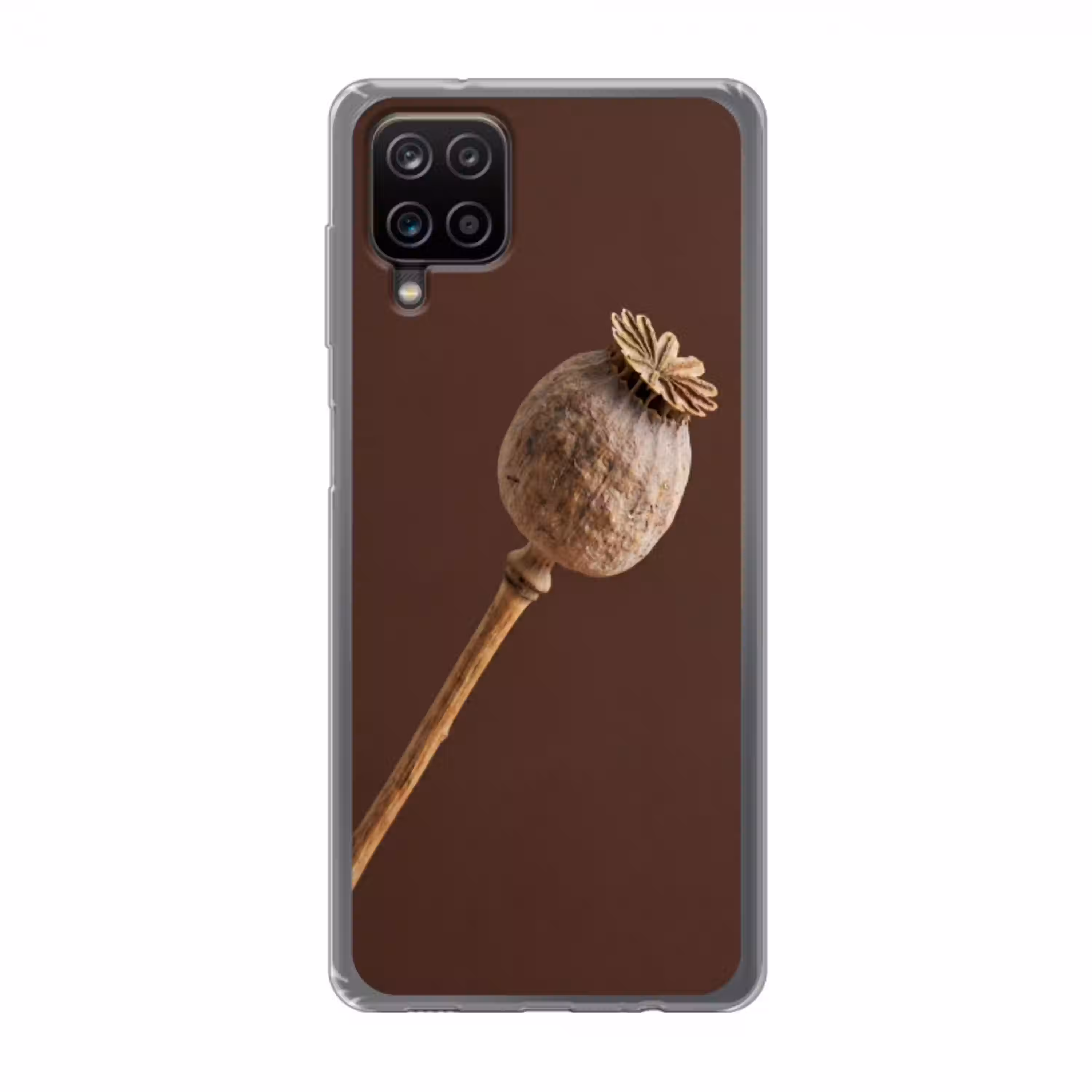 Papaverbol - Droogbloem - Bruin - Minimalistisch Telefoonhoesje Samsung Galaxy A12 klein -3d