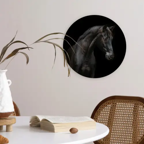 Paard - Dieren - Zwart - Portret Wandcirkel kunststof plaat 5mm dik klein -sfeer4
