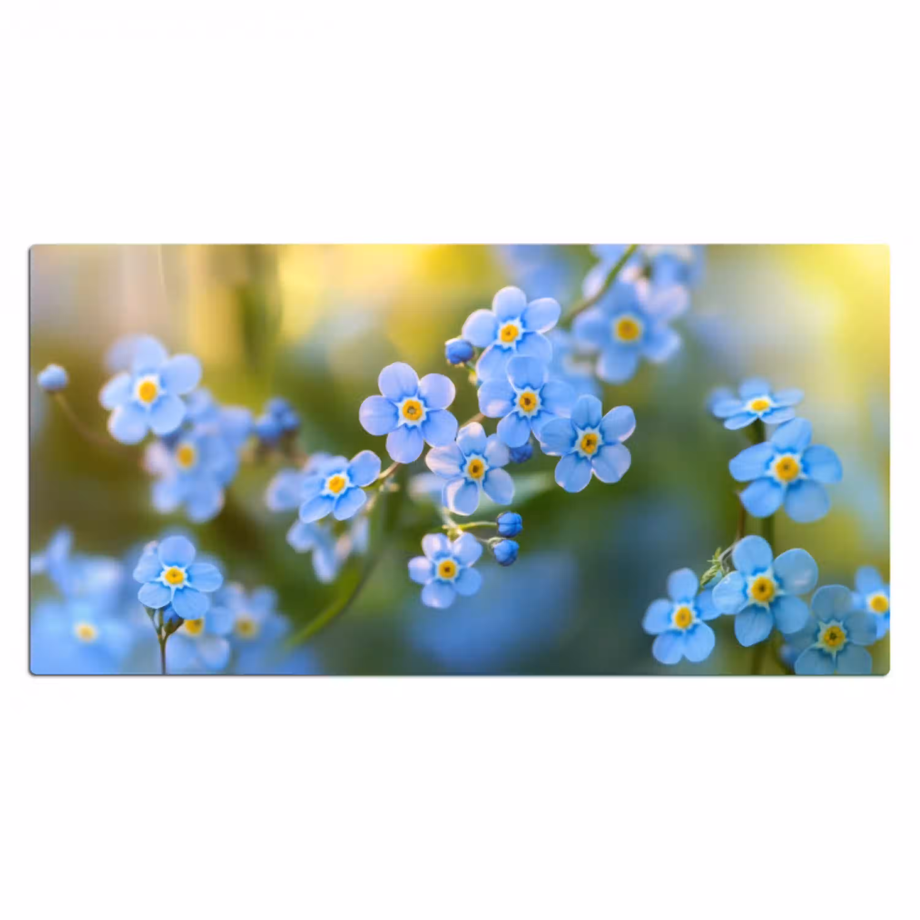 Bloemetjes - Blauw - Vergeet mij nietjes Muismat XXL klein -3d_leeg