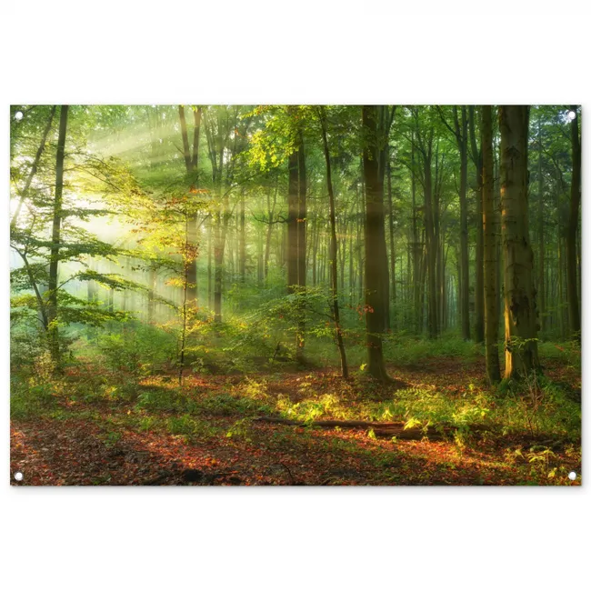 MuchoWow Tuinposter 120x180cm Bos Doorkijk Stenen Pad | Leen Bakker