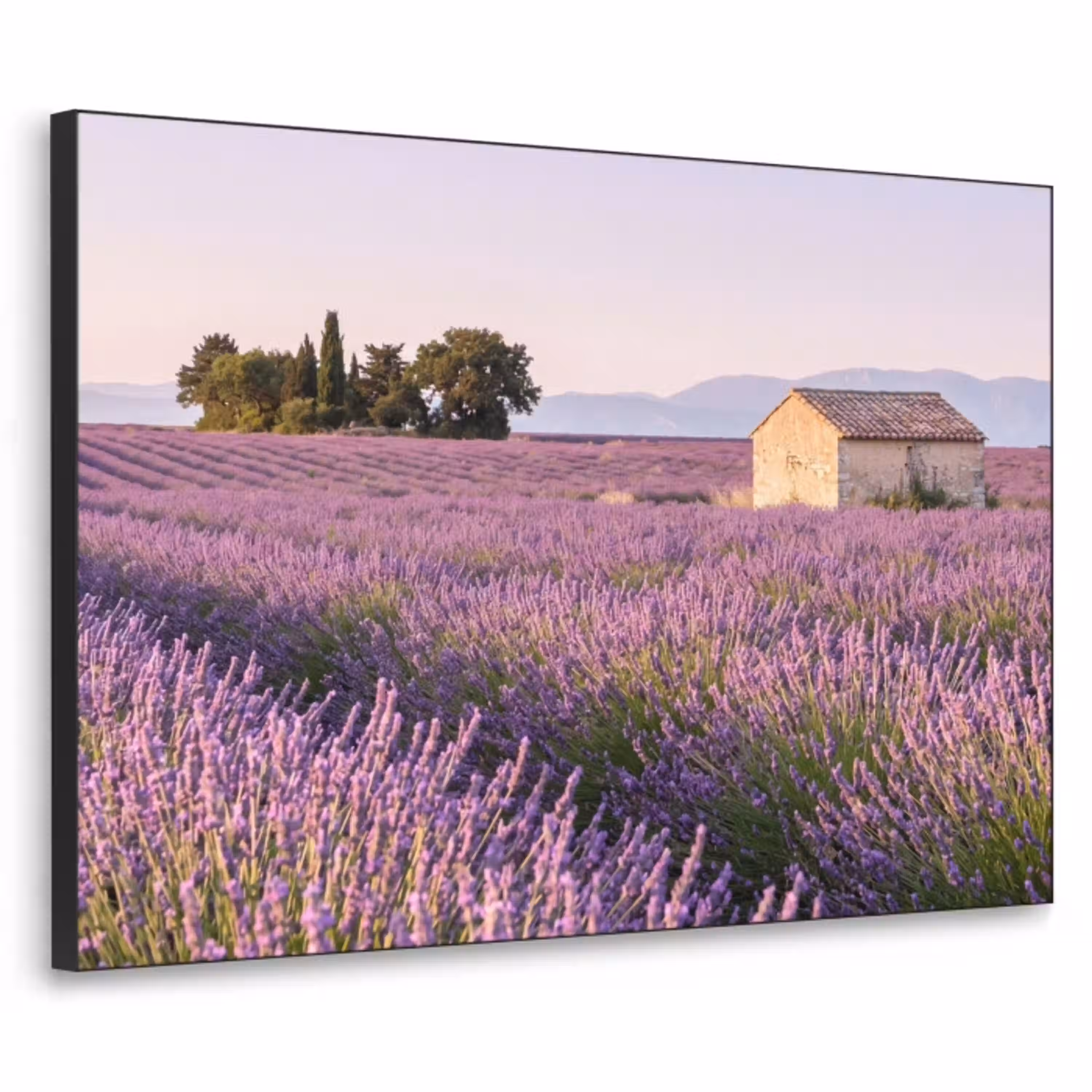 Lavendel - Landschap - Sereen - Paars Textielframe zwart klein -3d