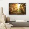 Bos - Herfst - Zon - Landschap - Natuur - Bomen - Bladeren canvas 2cm klein -sfeer6