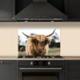 Schotse Hooglander -  Koe - Gras - Dieren - Natuur keuken achterwand spatscherm klein -sfeer1