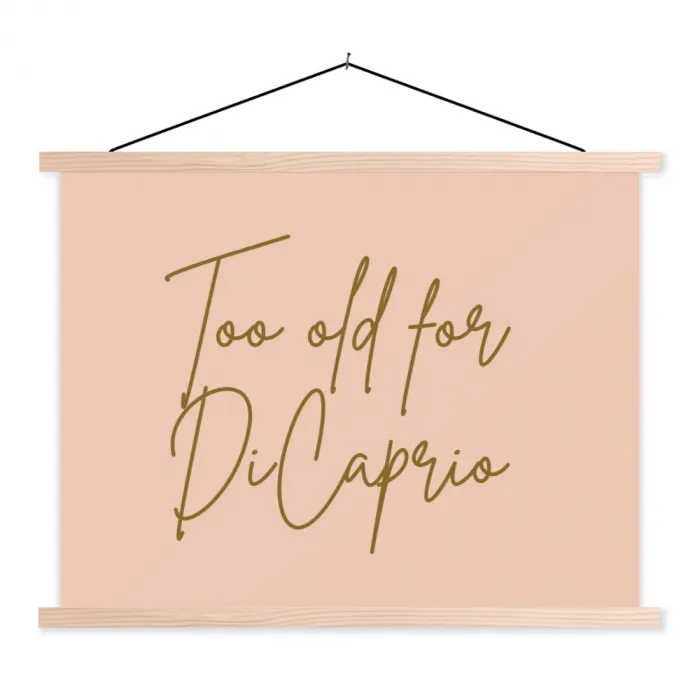 Too old for dicaprio - Roze - Groen textielposter latten blank klein -3d