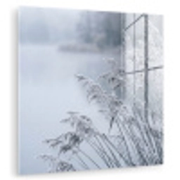 Riet - Bevroren - Winter - Natuur plexiglas 5mm klein -zzzproduct_nieuw