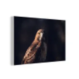 Roofvogel - Buizerd - Bruin forex 5mm xxl -3d