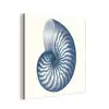 Blauw - Schelp - Spiraal aluminium wit klein -3d