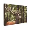 Hert - Natuur - Gewei - Bos - Dieren canvas 2cm klein -z3d