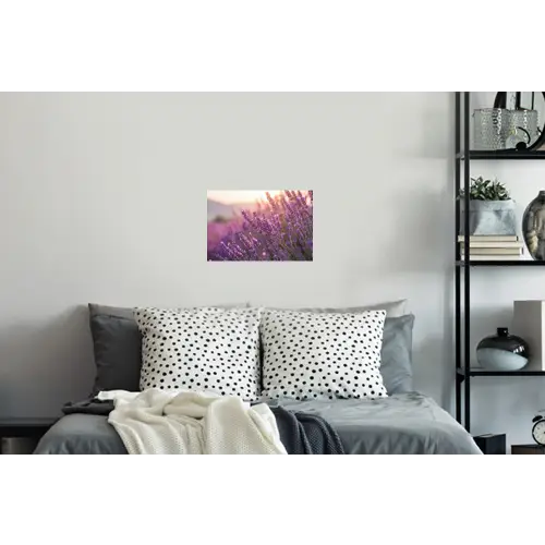 Lavendel - Paars - Zonlicht Muursticker klein -slaapkamer