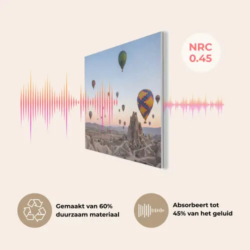 Luchtballonnen - Rotsen - Zonsopgang PET vilt klein -USP_NL