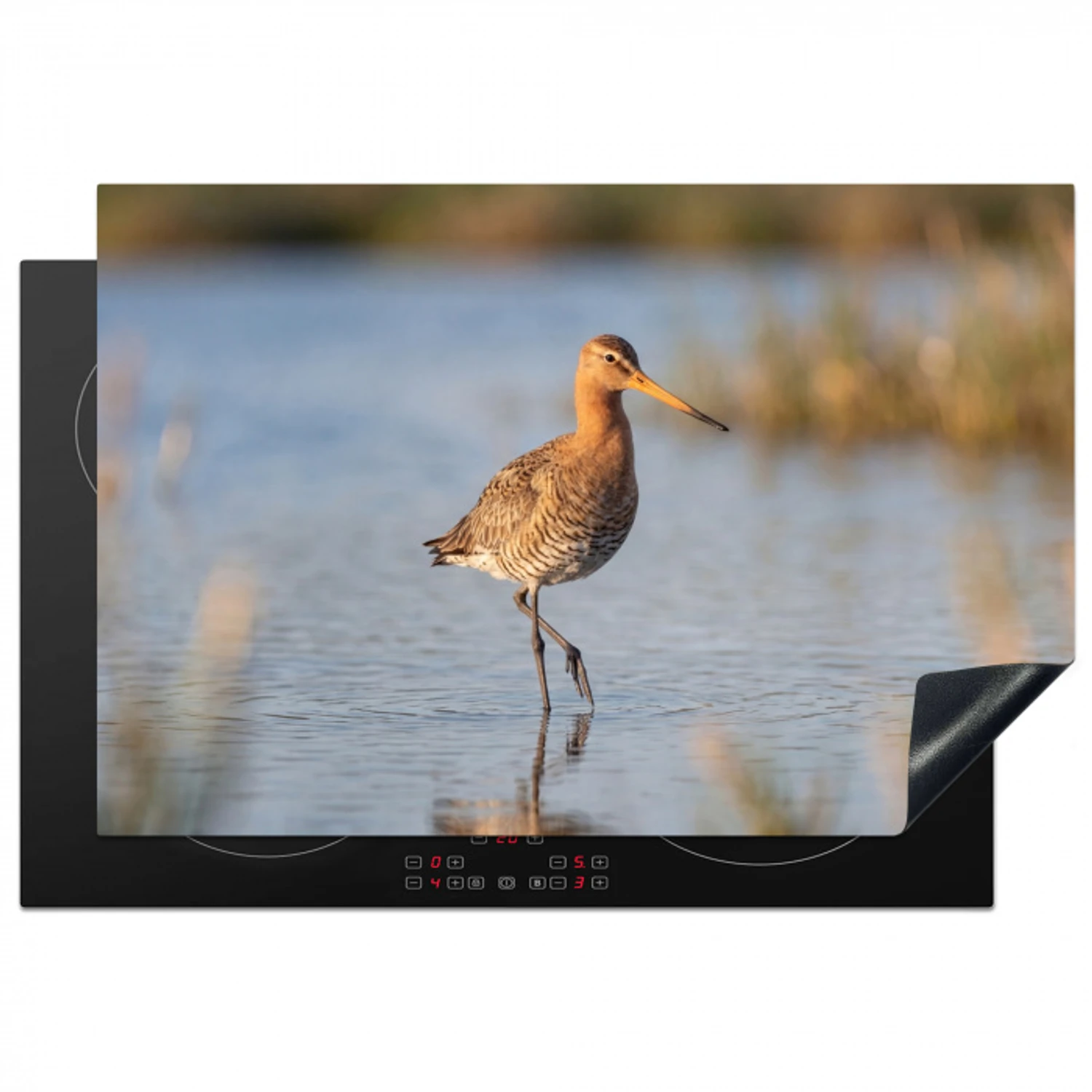Vogel - Steltloper - Water - Natuur Inductie beschermer vinyl 3mm klein -3d