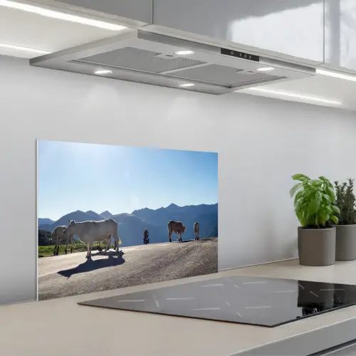 Schotse hooglander - Licht - Berg - Natuur keuken achterwand spatscherm klein -3d_schuin
