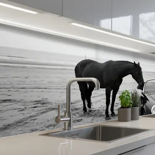 Paard - Auto - Zwart - Wit keuken achterwand 2 middel -3d_schuin