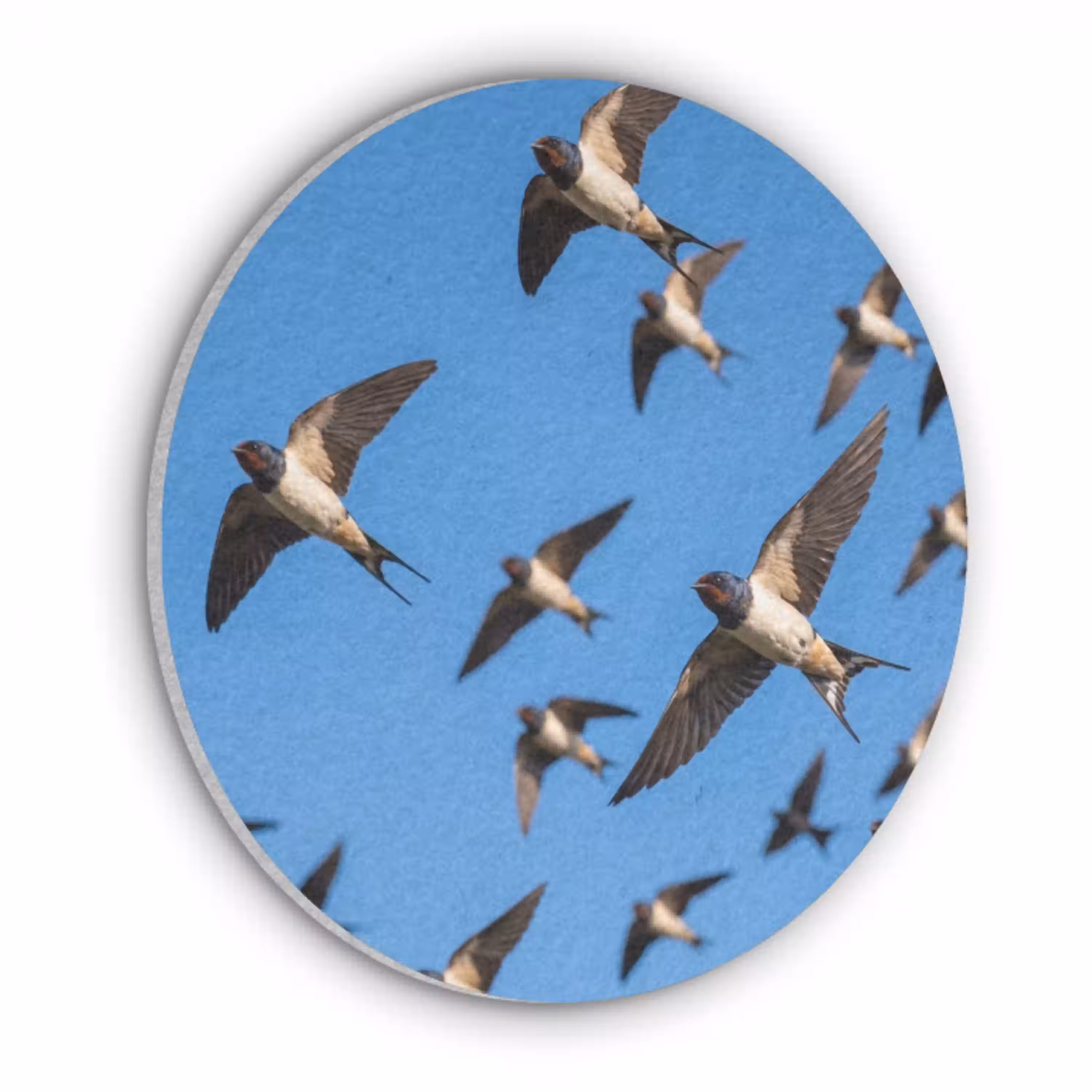 Zwaluwen - Vliegen - Blauw Akoestische PET Vilt - Rond klein -3d