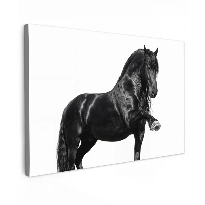 Fries - Hengst - Modern Tuinposter op houten frame 2 cm dik klein -3d